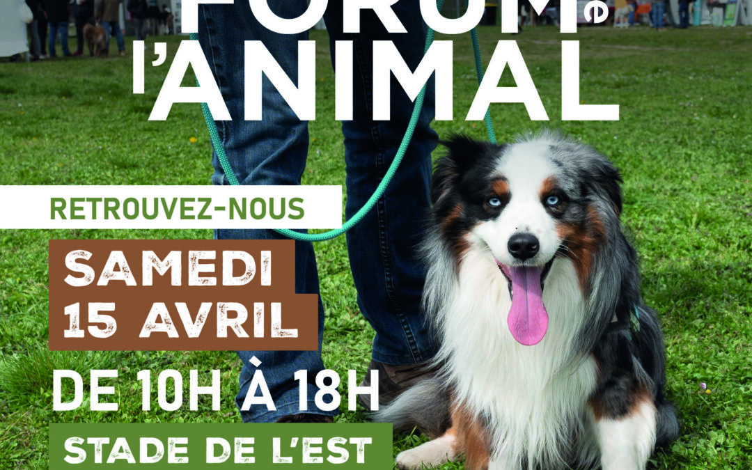 Forum de l’Animal – Gagny